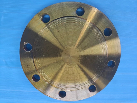 Stainless Steel Carbon Steel Blind Flange Pipeline Pn10 Pn16 Pn25 Pn100