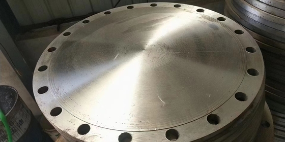72 Inch Weld Neck Raised Face Flange 310S 316LN 317L Rust Proof Oiled