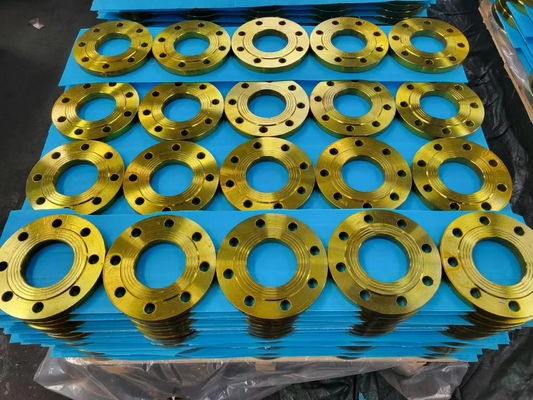 B16.5 Forged Steel Flange A36 A106 F304 F304L F316 Stainless Steel Blind Flange
