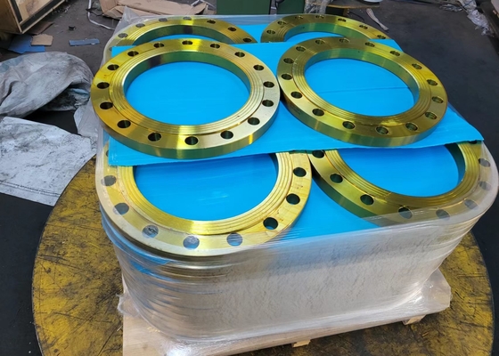 ASME 16.5 Threaded Stainless Steel Carbon Steel Flange Galvanized Surface