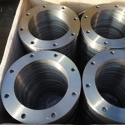 ANSI 150 Forged Stainless Steel Flange Backing Ring Electro Galvanizing Coating